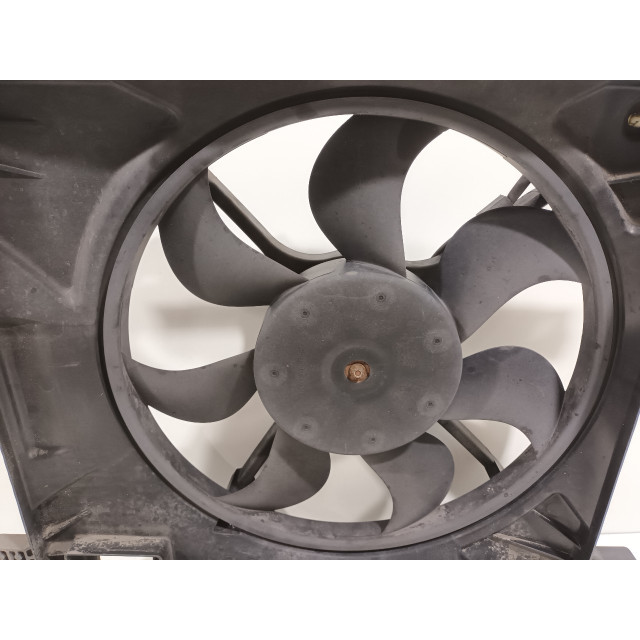 Moteur de ventilateur Daewoo/Chevrolet Spark (M300) (2010 - 2015) Hatchback 1.0 16V Bifuel (LMT)