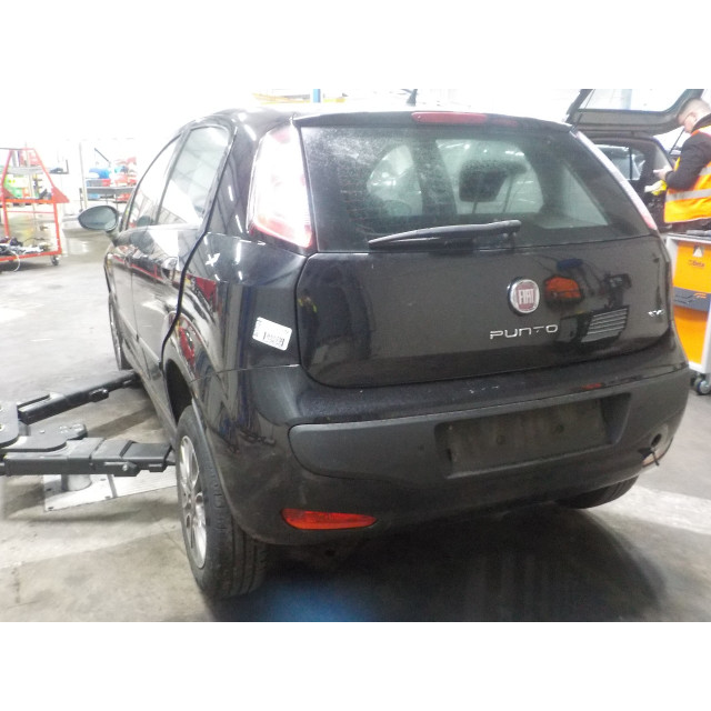 Porte arrière gauche Fiat Punto Evo (199) (2009 - 2012) Hatchback 1.3 JTD Multijet 85 16V (199.B.4000(Euro 5))