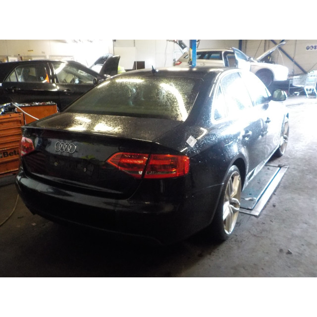 Ceinture de sécurité centrale arrière Audi A4 (B8) (2008 - 2015) Sedan 1.8 TFSI 16V (CDHA(Euro 5))