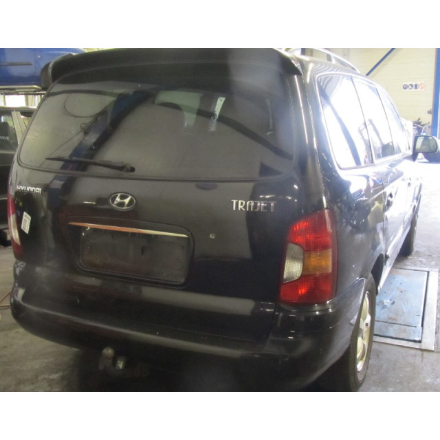 Moteur de pompe de direction assistée Hyundai Trajet (2001 - 2008) MPV 2.0 CRDi 16V (D4EA)