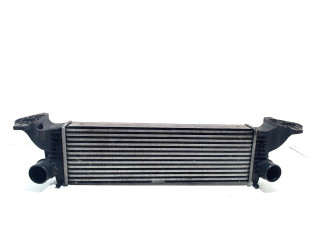 Radiateur d'échangeur thermique Iveco New Daily V (2011 - 2014) Chassis-Cabine 26L11, 26L11D, 35C11D, 35S11, 40C11 (F1AE3481A(Euro 5))